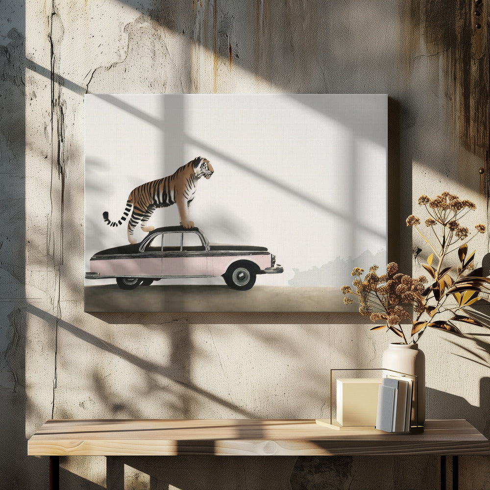 Wall art Tiger om a car roof 36X24inch Gallery Wrapped (Ready to Hang)