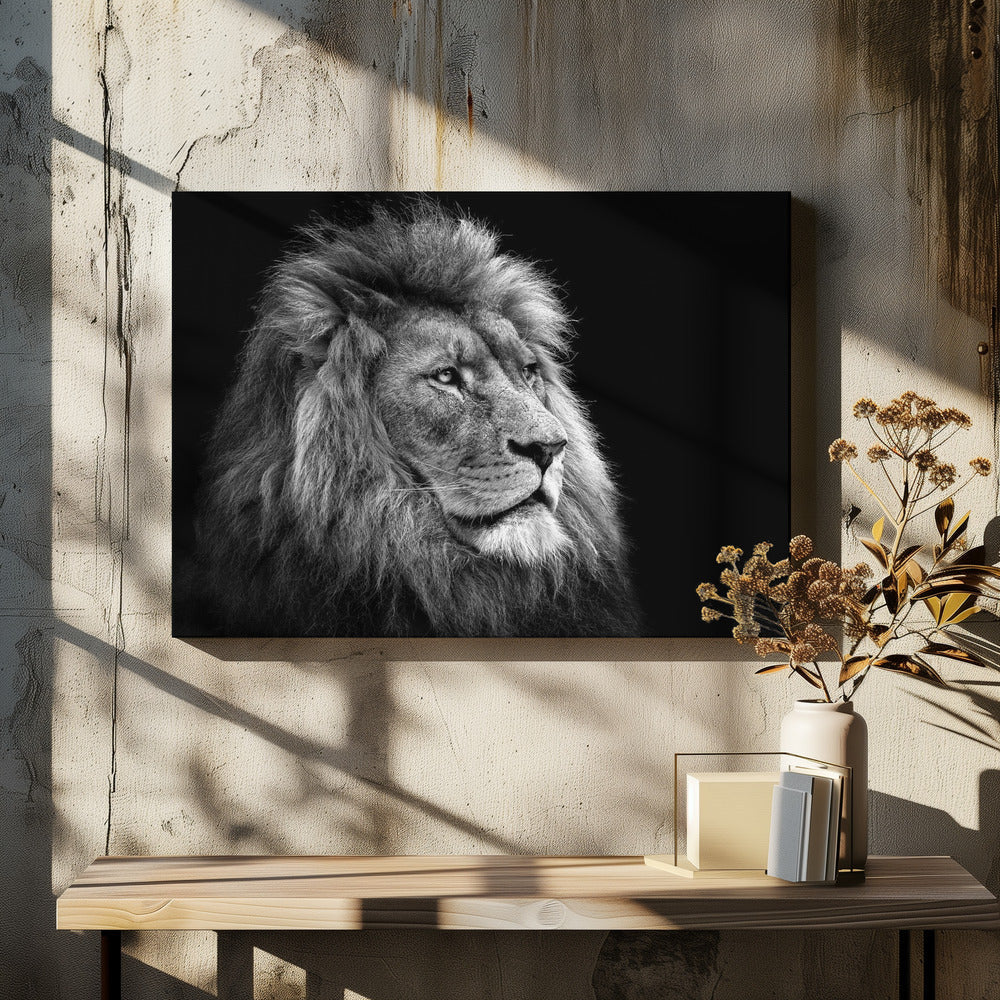 Wall art Lion 36X24inch Gallery Wrapped (Ready to Hang)