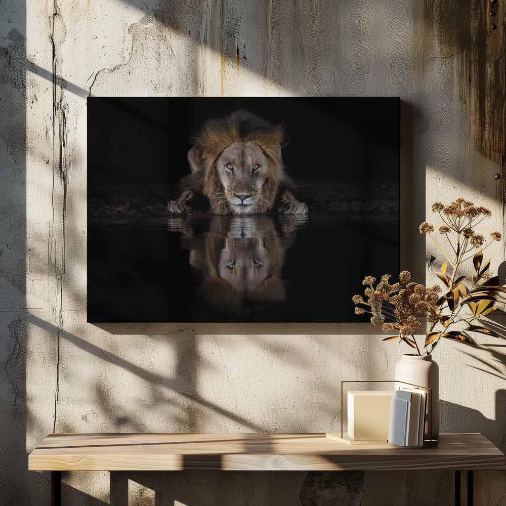 Wall Art Felines Nature-Inspired Canvas Print-wall-art-a-lion-at-the-night-36X24