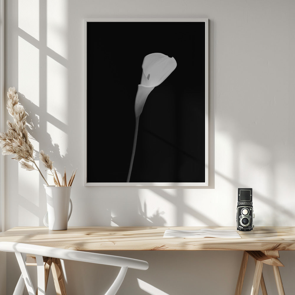 Landscape Photography Canvas Print-wall-art-calla-dark-design-36X48