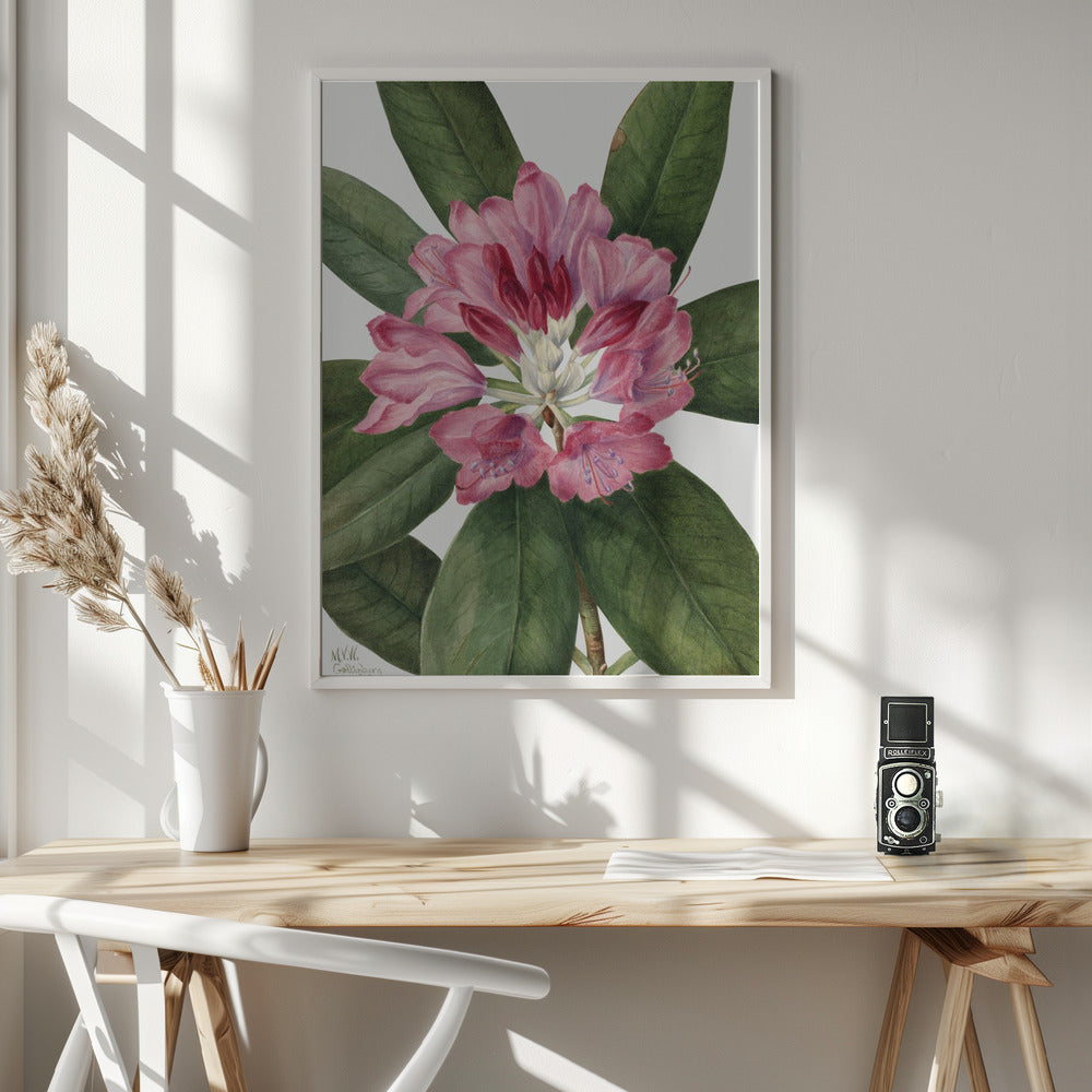 Mountain Rose Bay (1932) Wall Artwork In White Floating Frame