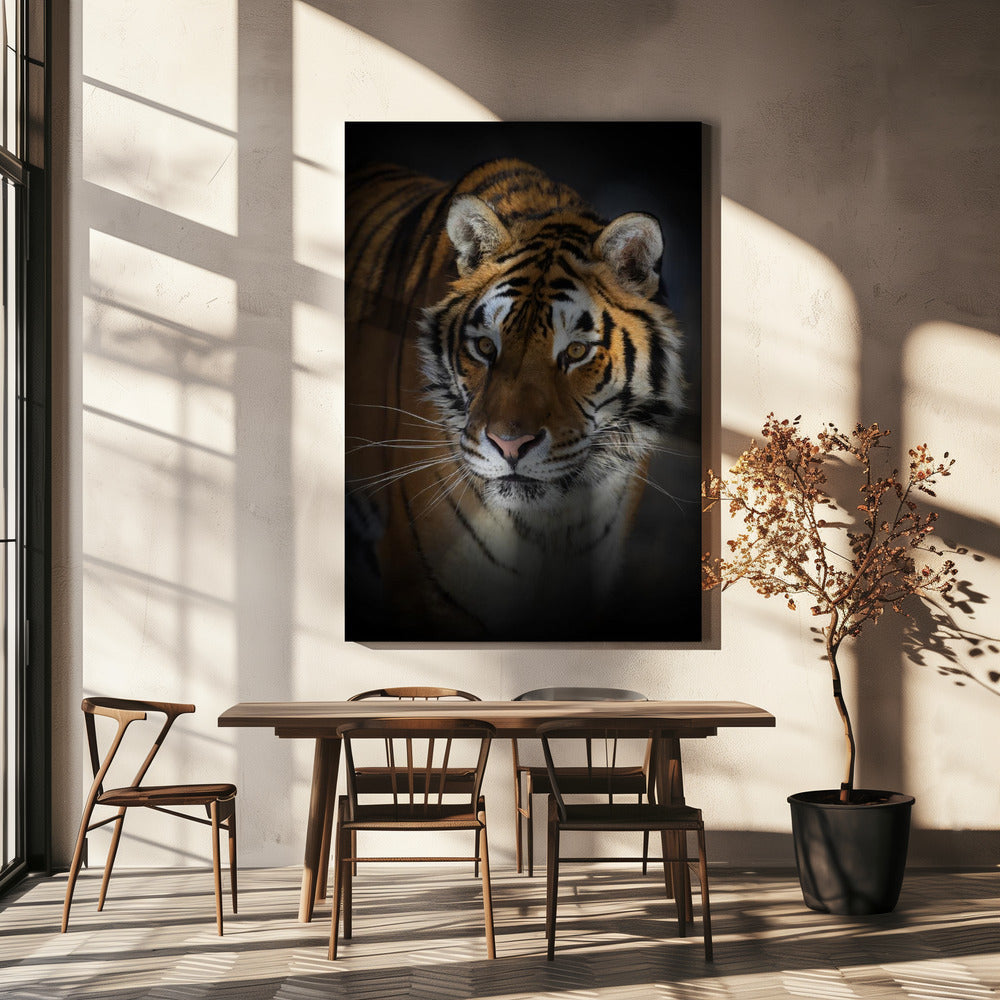 Wall art Portrait of a Siberian Tiger 24X36inch Gallery Wrapped (Ready to Hang)