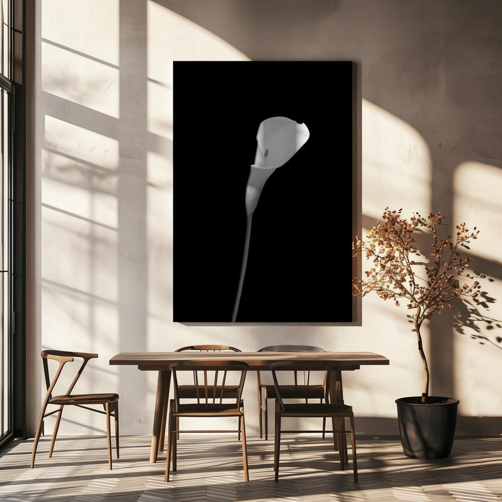 Landscape Photography Canvas Print-wall-art-calla-dark-design-24X36