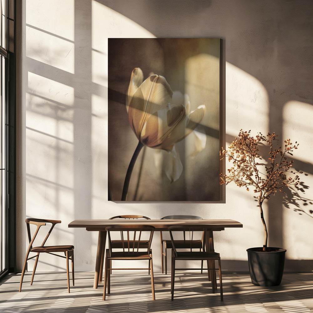 Wall art Pastel Tulip 24X36inch Gallery Wrapped (Ready to Hang)