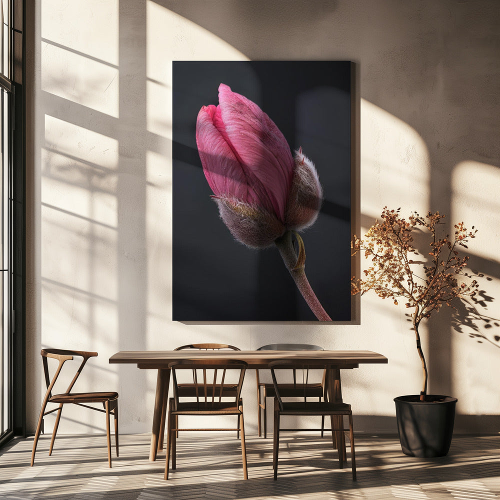 Wall art Pink Tulip 1