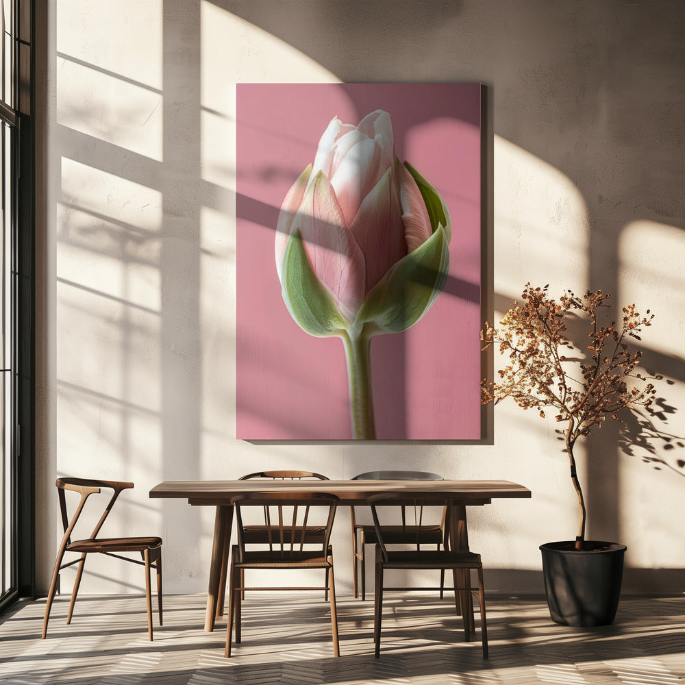 Wall art Pink Tulip