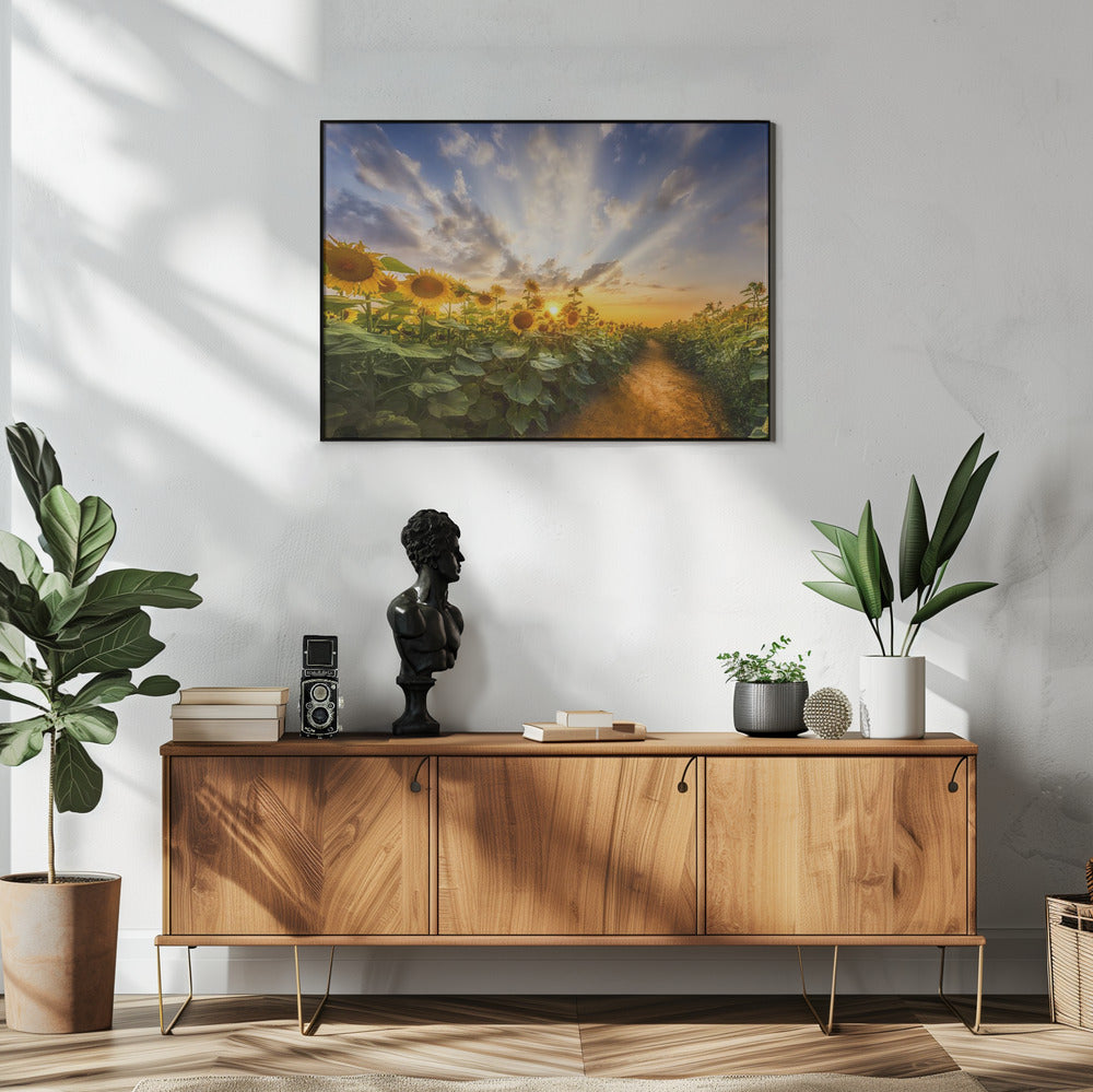 Landscape Photography Canvas Print-wall-art-path-through-the-sunflower-field-48X36