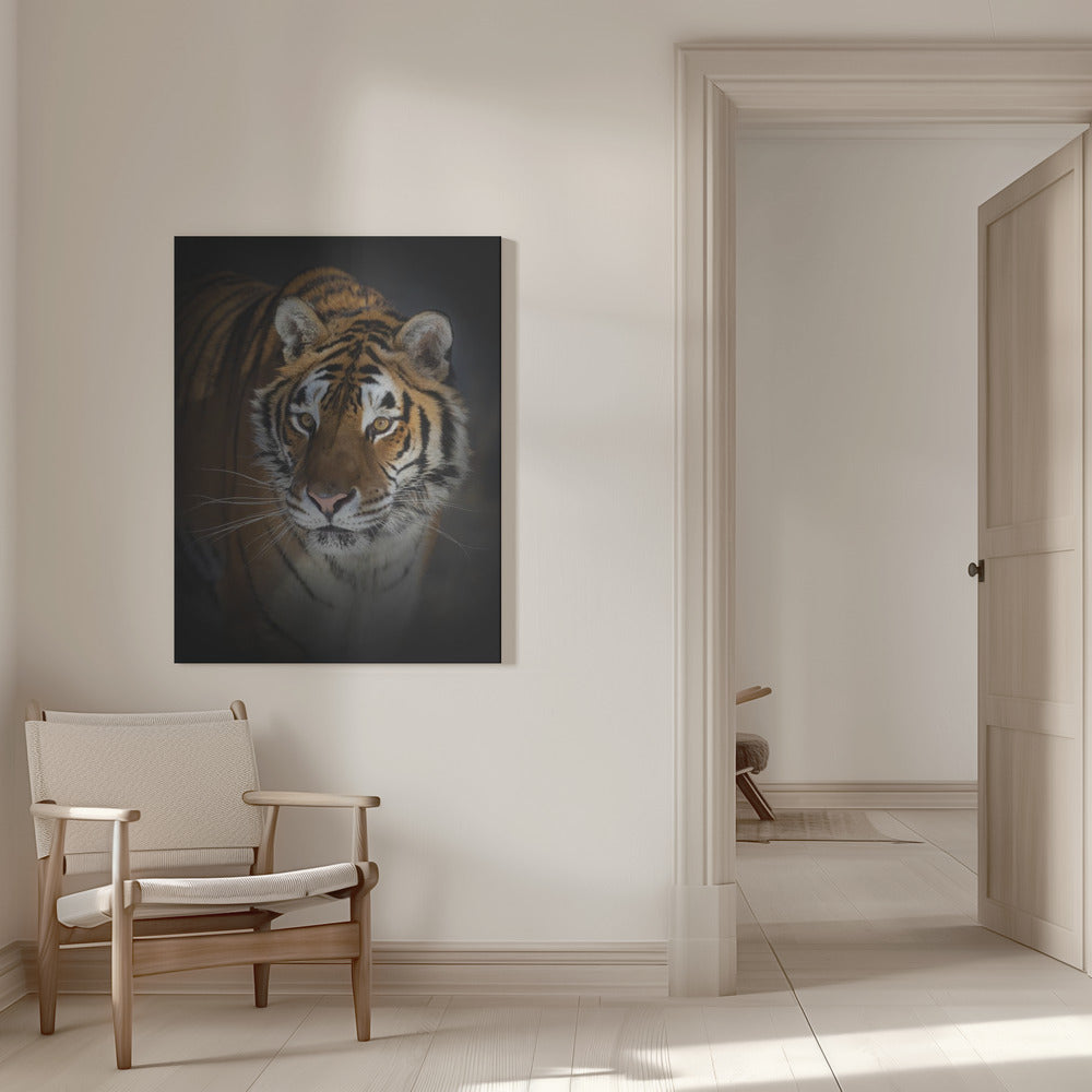 Wall Art Felines Nature-Inspired Canvas Print-wall-art-portrait-of-a-siberian-tiger-inches