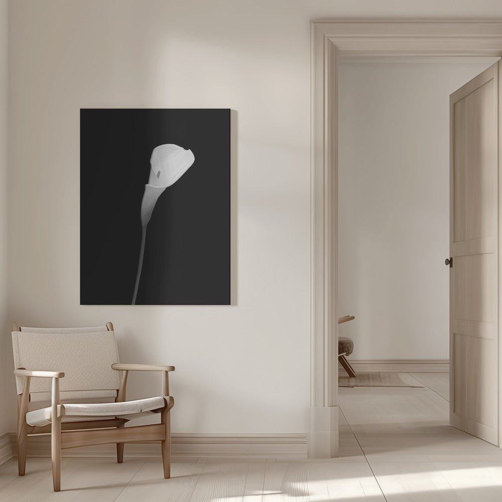 Landscape Photography Canvas Print-wall-art-calla-dark-design-