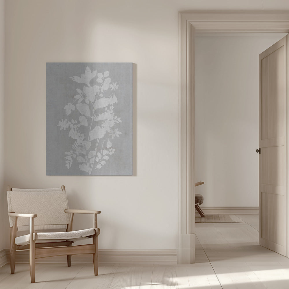 Wall art Botanical Illustration 2