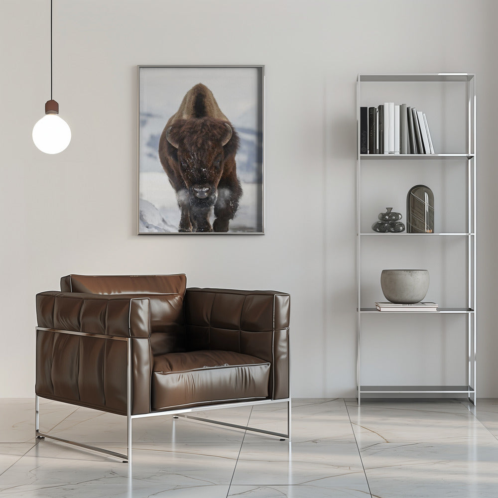 Wall art Bison Incoming Canvas Print