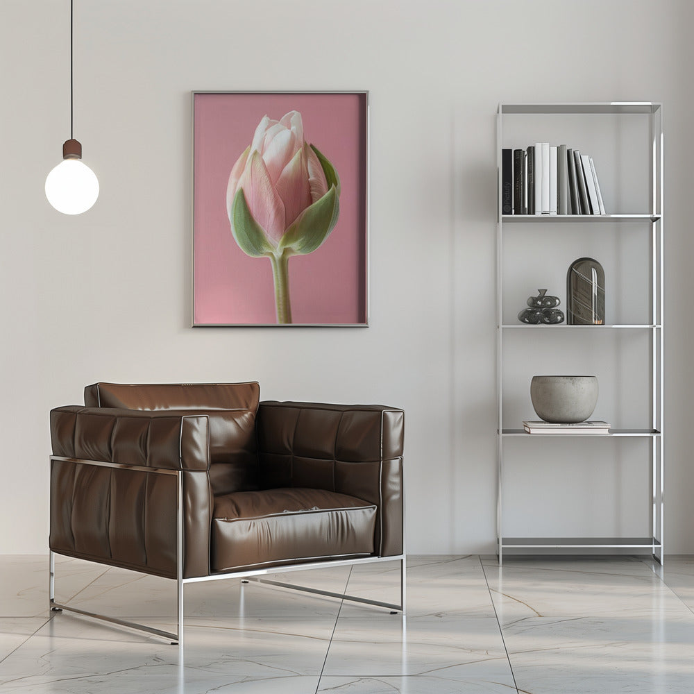 Wall art Pink Tulip