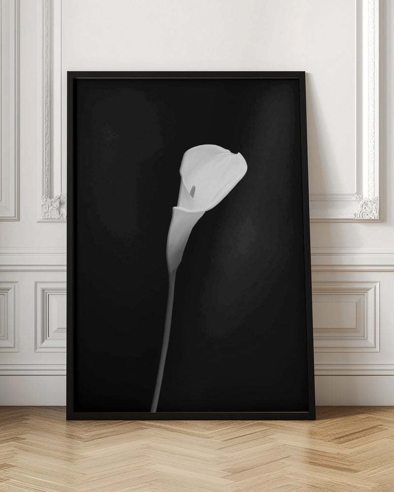 Landscape Photography Canvas Print-wall-art-calla-dark-design-36X48