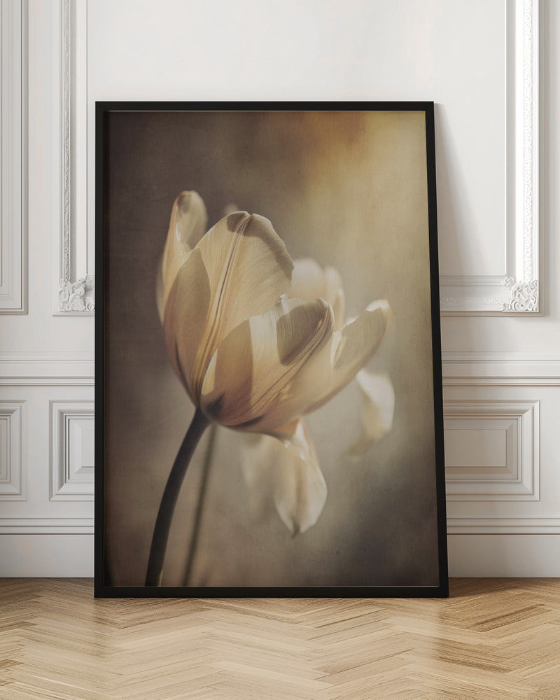 Wall art Pastel Tulip 36X48inch In White Floating Frame