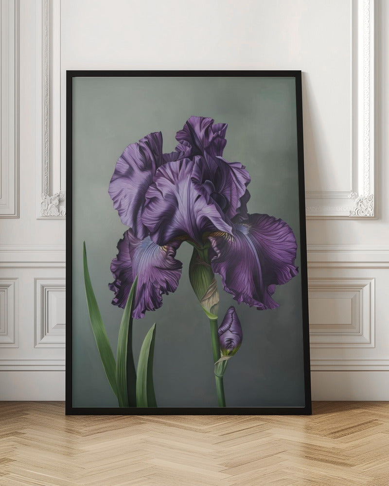 Wall art Iris Fl 21 36X48inch In White Floating Frame