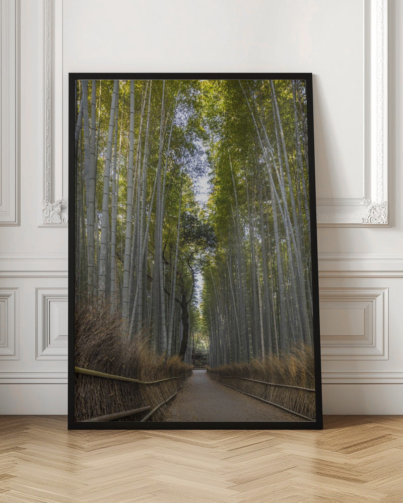 Landscape Photography Canvas Print-wall-art-mighty-arashiyama-bamboo-forest-36X48