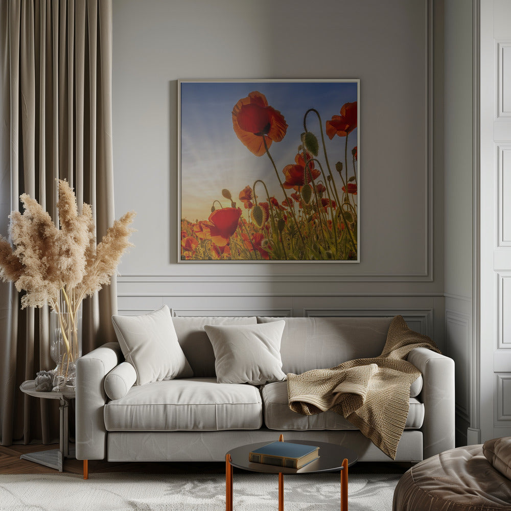 Landscape Photography Canvas Print-wall-art-fascinating-poppies-inches