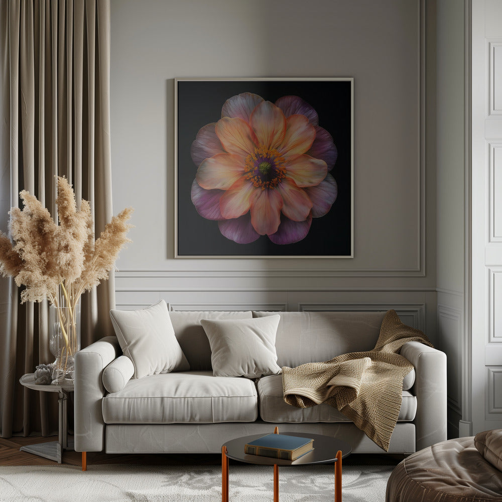 Floral Canvas Print-wall-art-macro-fl-on-blk-20-inches