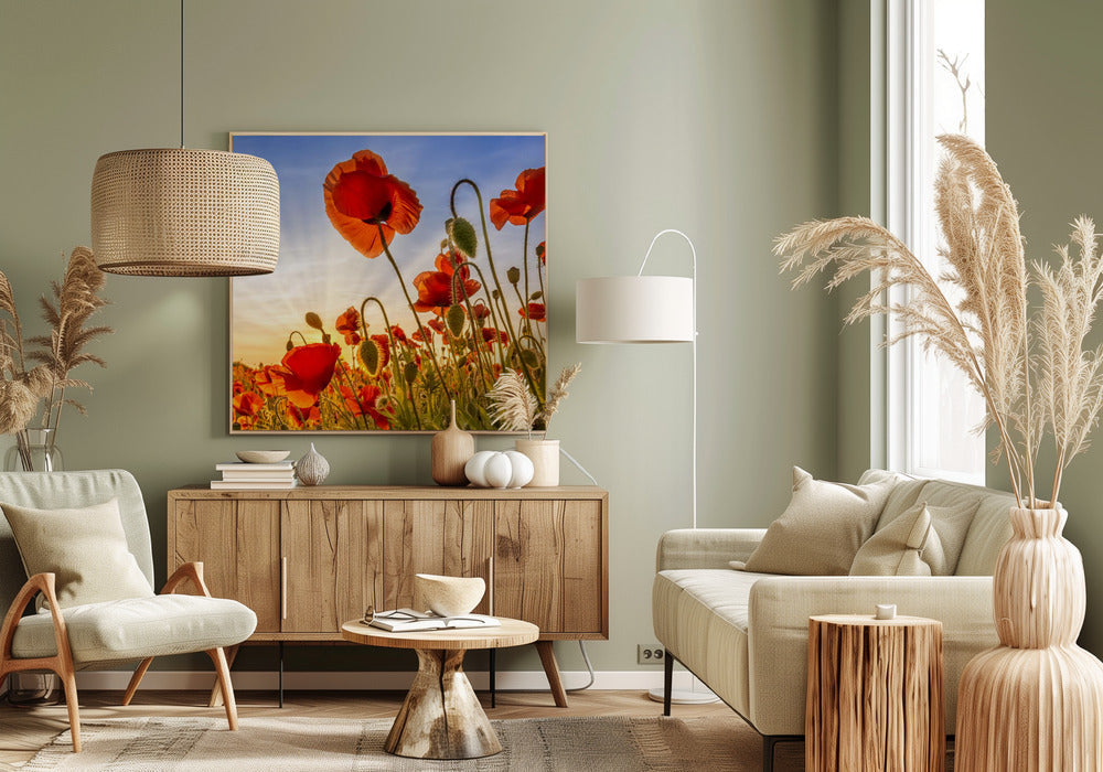 Landscape Photography Canvas Print-wall-art-fascinating-poppies-inches