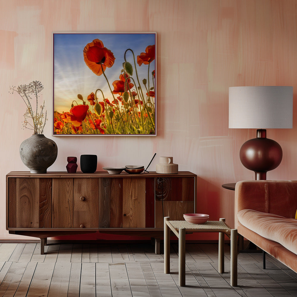 Landscape Photography Canvas Print-wall-art-fascinating-poppies-inches