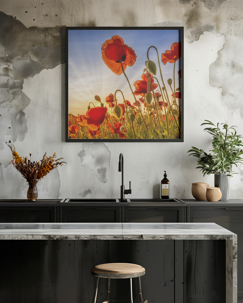 Landscape Photography Canvas Print-wall-art-fascinating-poppies-inches