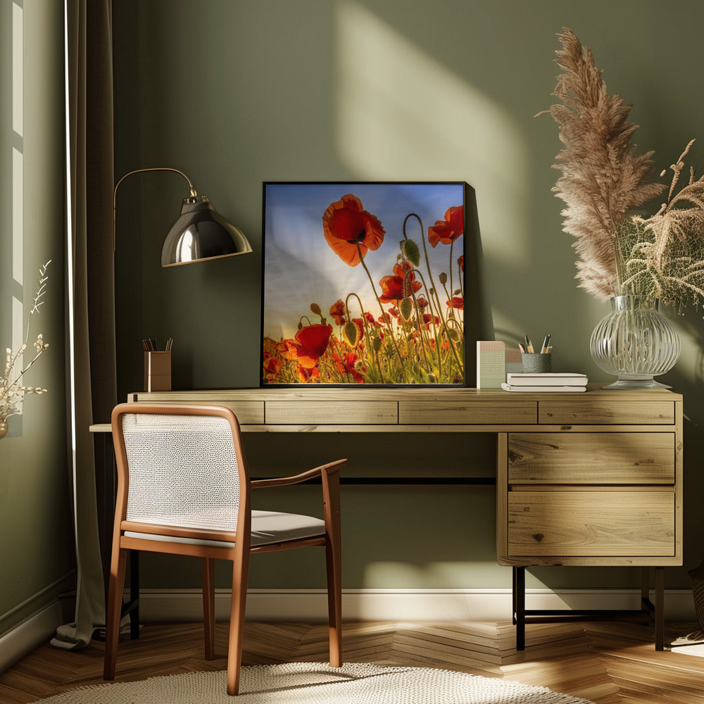 Landscape Photography Canvas Print-wall-art-fascinating-poppies-inches