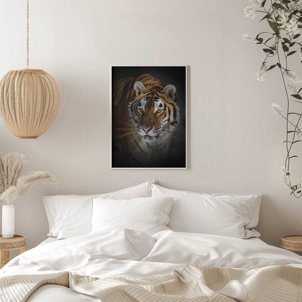 Wall Art Felines Nature-Inspired Canvas Print-wall-art-portrait-of-a-siberian-tiger-inches