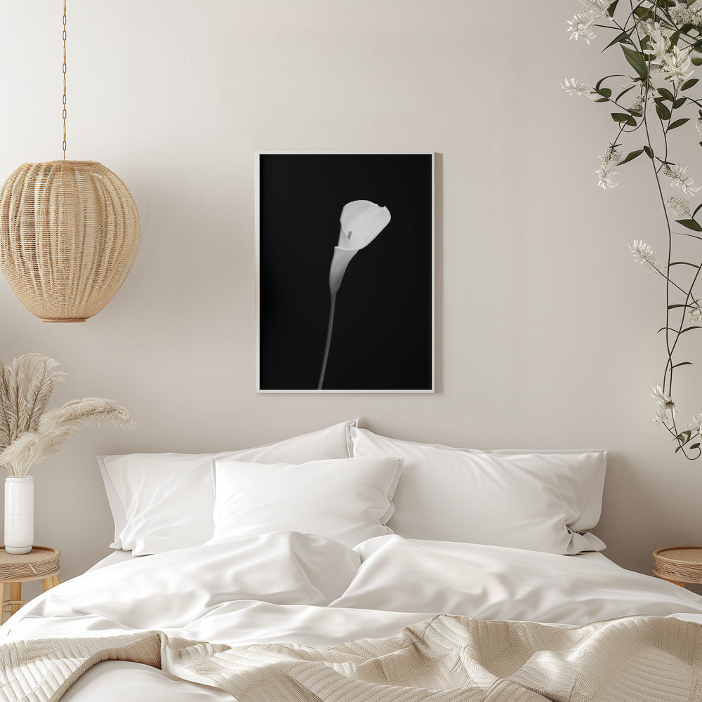 Landscape Photography Canvas Print-wall-art-calla-dark-design-