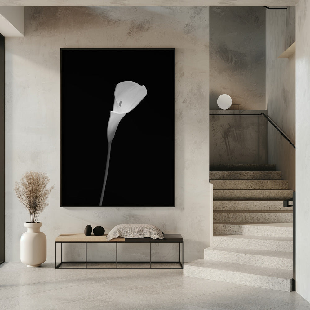 Landscape Photography Canvas Print-wall-art-calla-dark-design-