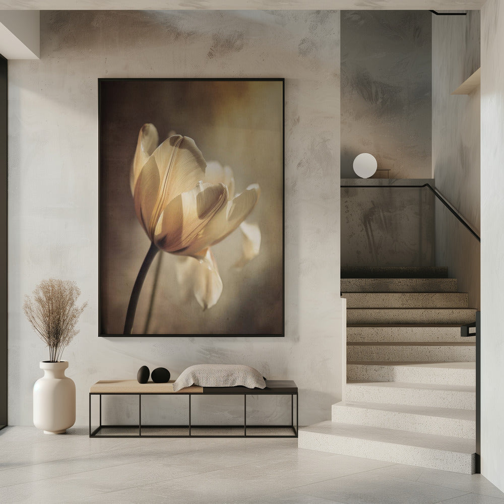 Floral Canvas Print-wall-art-pastel-tulip-inches