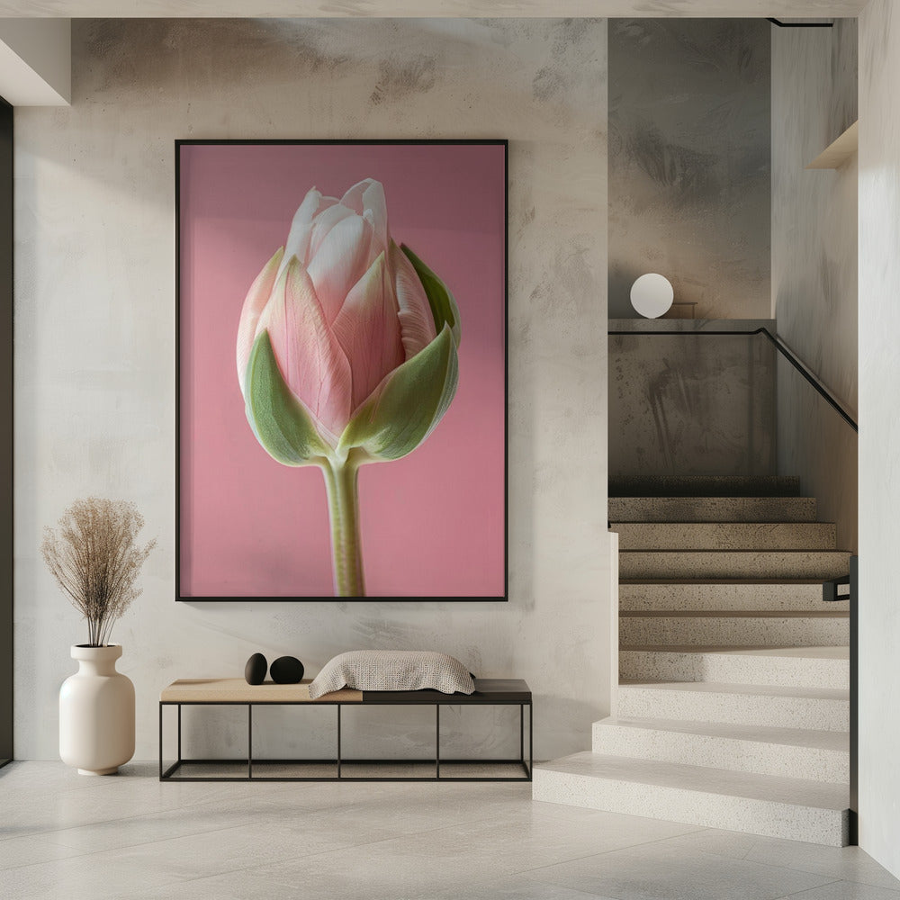 Wall art Pink Tulip