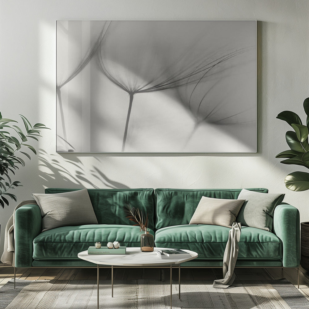Wall art Tragopogon