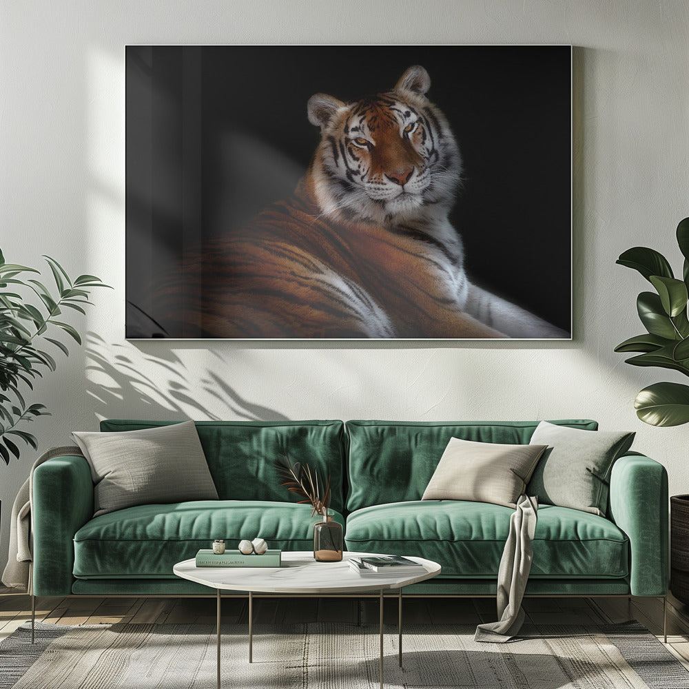 Wall Art Felines Nature-Inspired Canvas Print-wall-art-serenity-inches