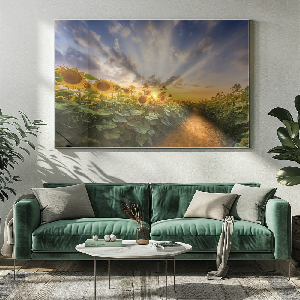 Landscape Photography Canvas Print-wall-art-path-through-the-sunflower-field-