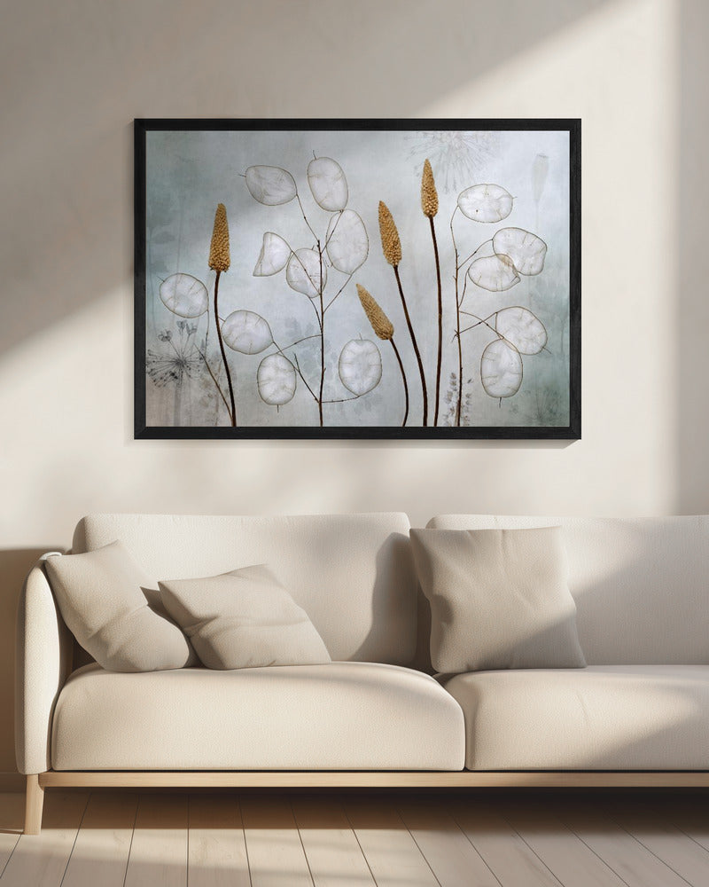 Wall art Lunaria