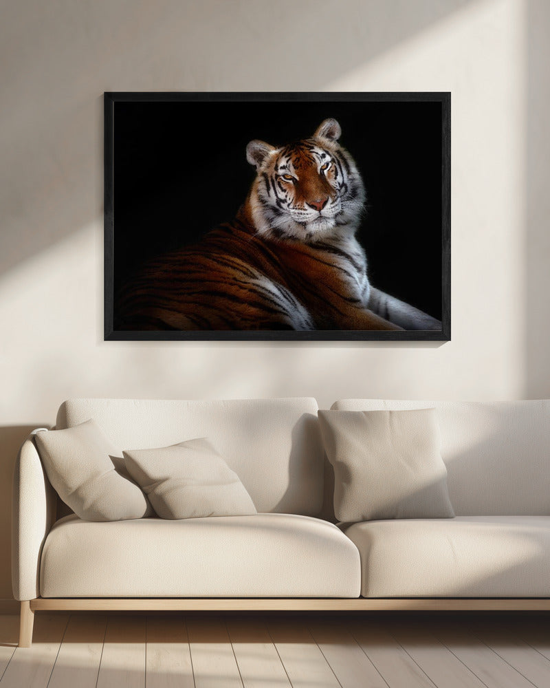 Wall Art Felines Nature-Inspired Canvas Print-wall-art-serenity-inches