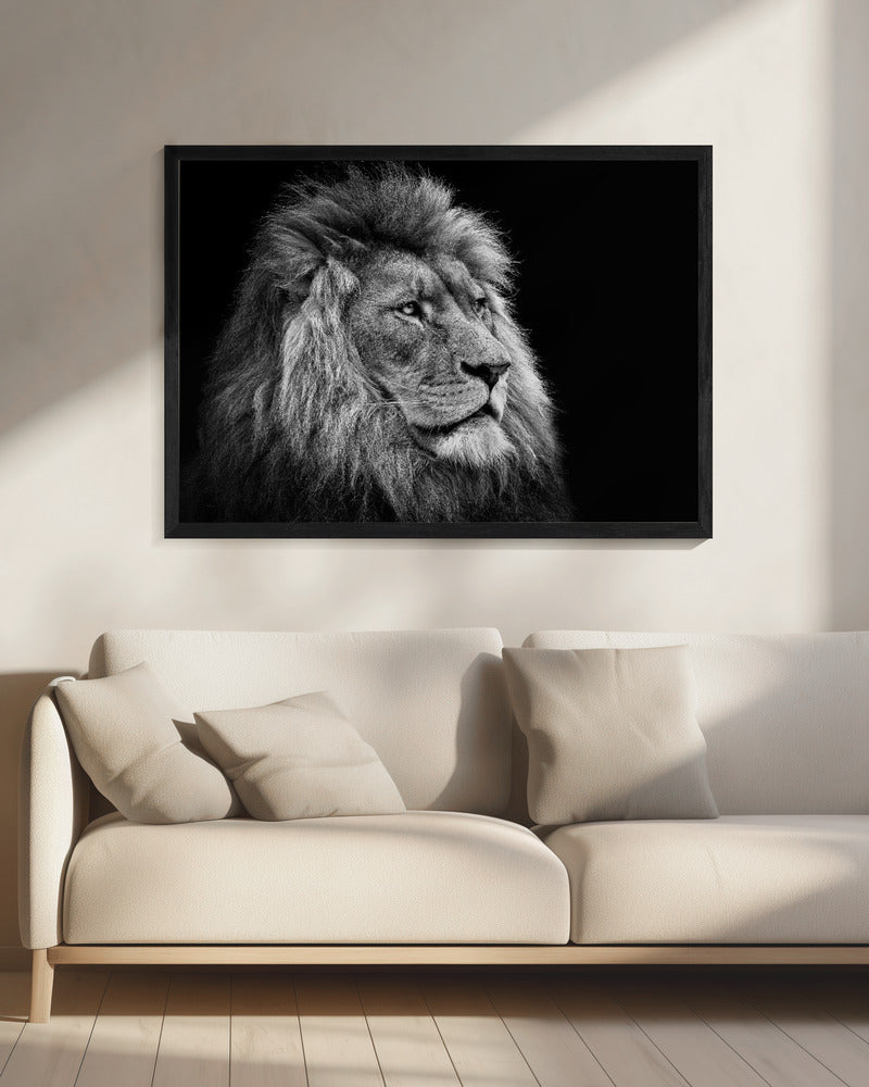 Wall Art Felines Nature-Inspired Canvas Print-wall-art-lion-