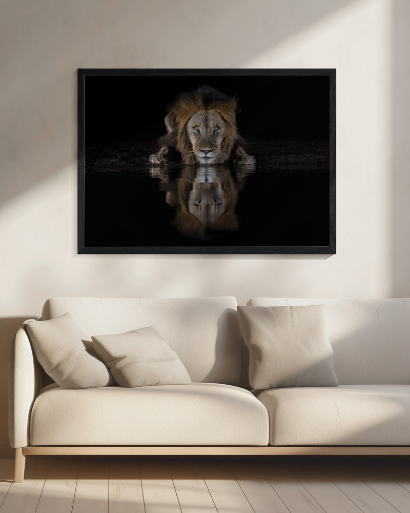 Wall Art Felines Nature-Inspired Canvas Print-wall-art-a-lion-at-the-night-