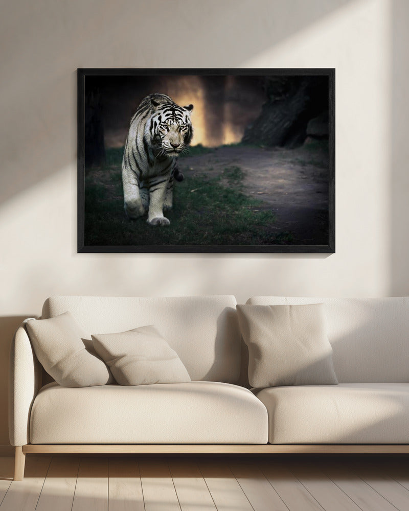 Wall Art Felines Nature-Inspired Canvas Print-wall-art-white-walker-inches