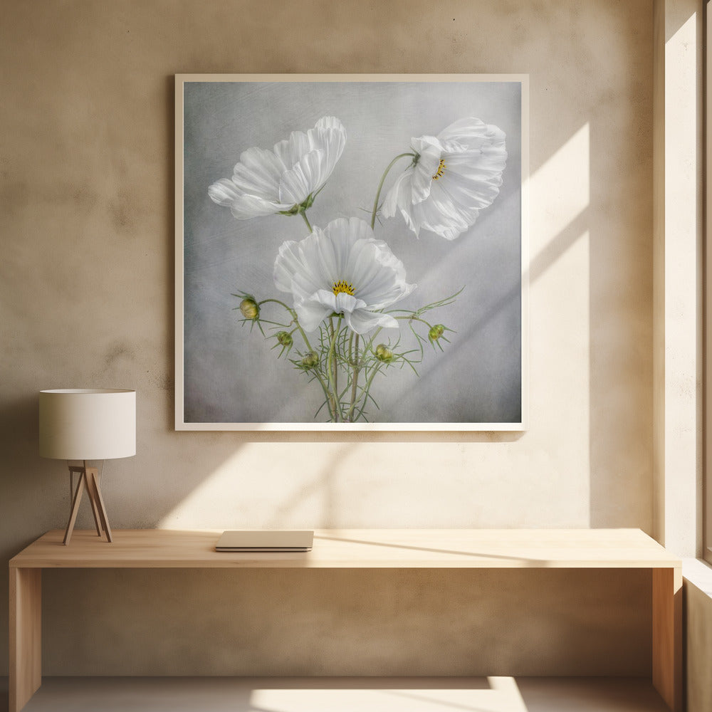 Wall art Cosmos Charm