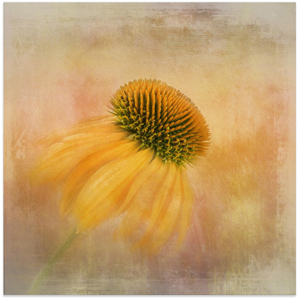 Wall art Echinacea in Yellow