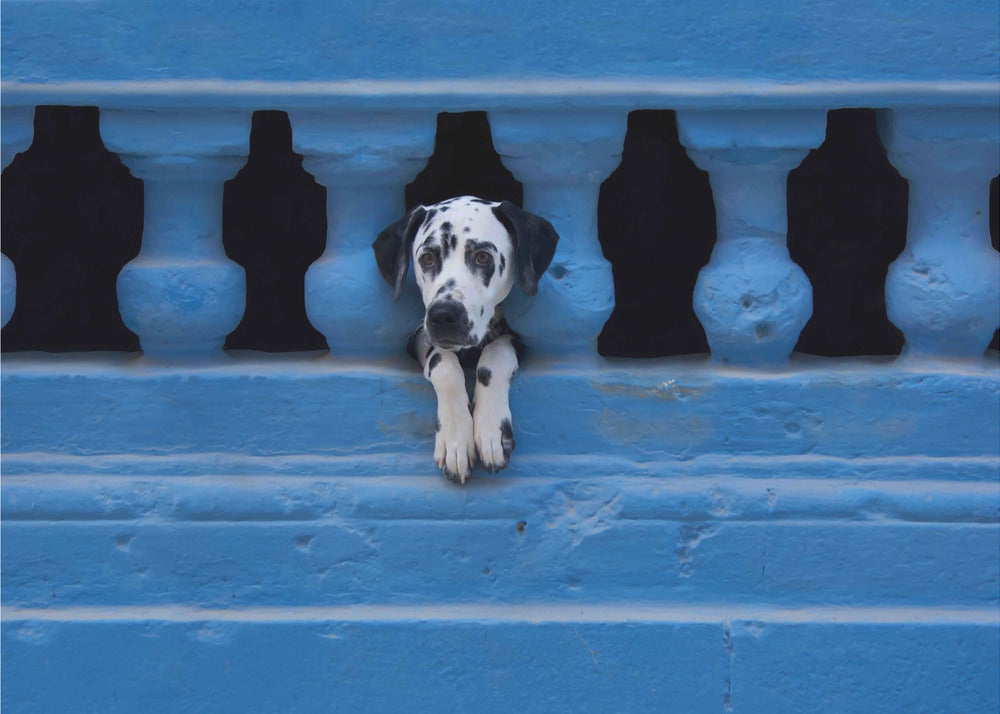 Wall art Centro Habana