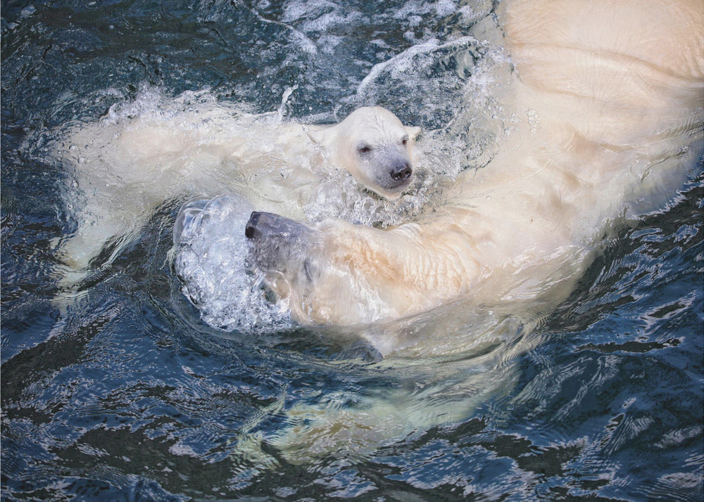 Wall art HER CUTENESS, swimming with mum
