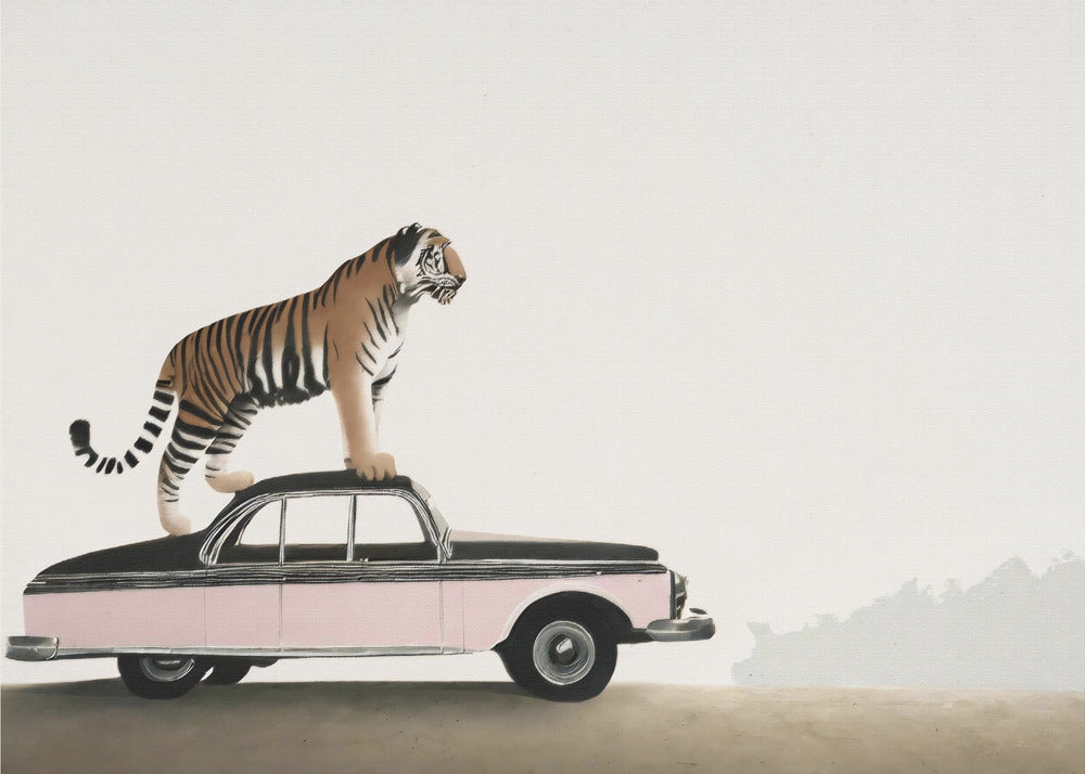 Wall art Tiger om a car roof 48X36inch In White Floating Frame