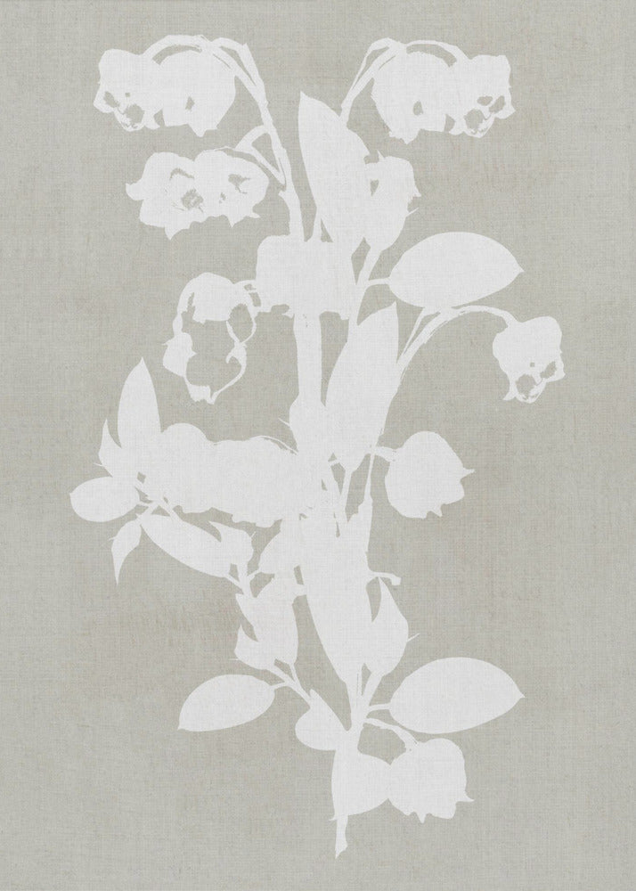 Wall art Botanical Illustration 4