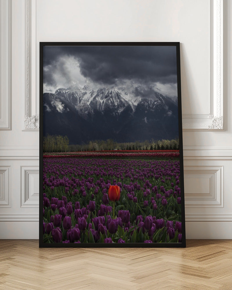 Wall art Tulip in Vancouver in the Livingroom Canvas Palette